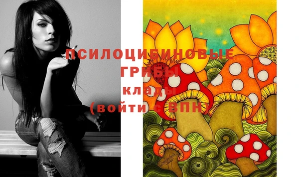 меф Дмитровск