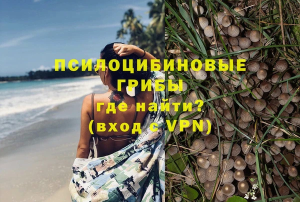 а пвп мука Ельня