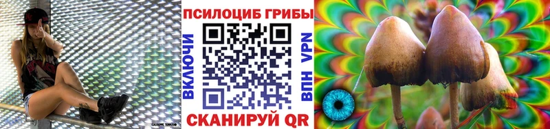 МЕГА tor  Западная Двина  Галлюциногенные грибы Cubensis 